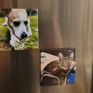 Photo Magnet 2.5" x 2.5" six pack