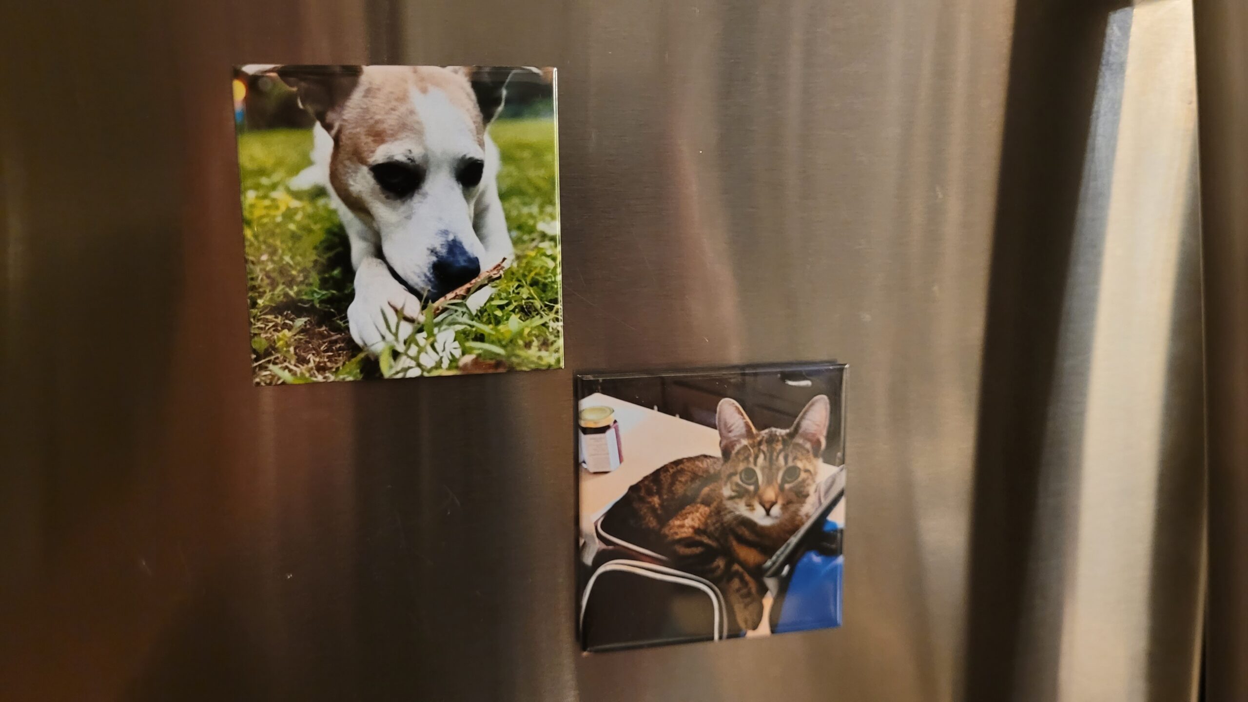 Photo Magnet 2.5" x 2.5" six pack