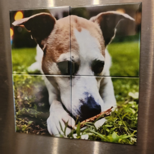 Magnet Puzzle - 2x2 (4 Pieces)