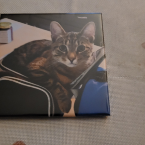 Photo Magnet Single